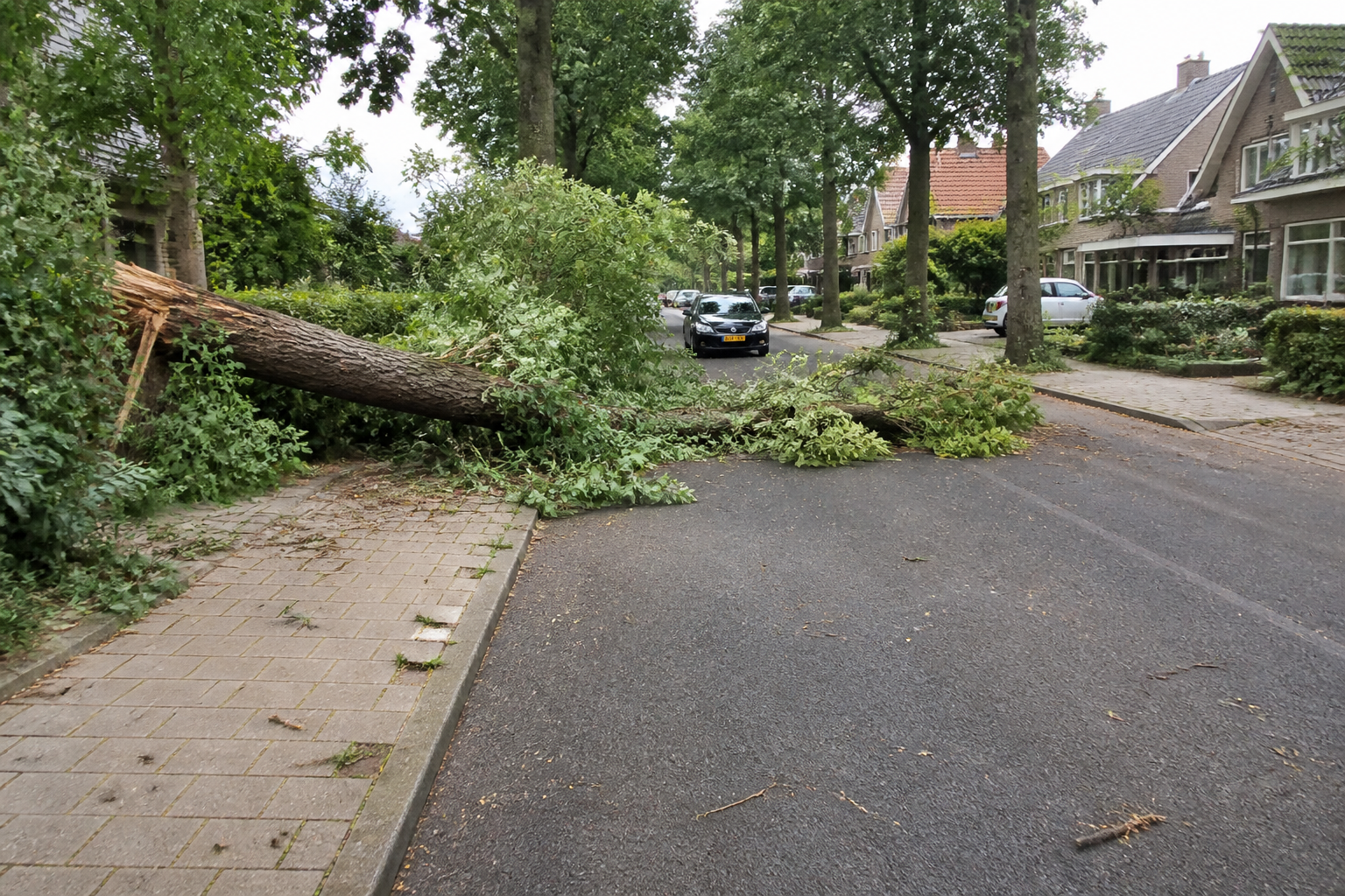 Overig lokaal nieuws
